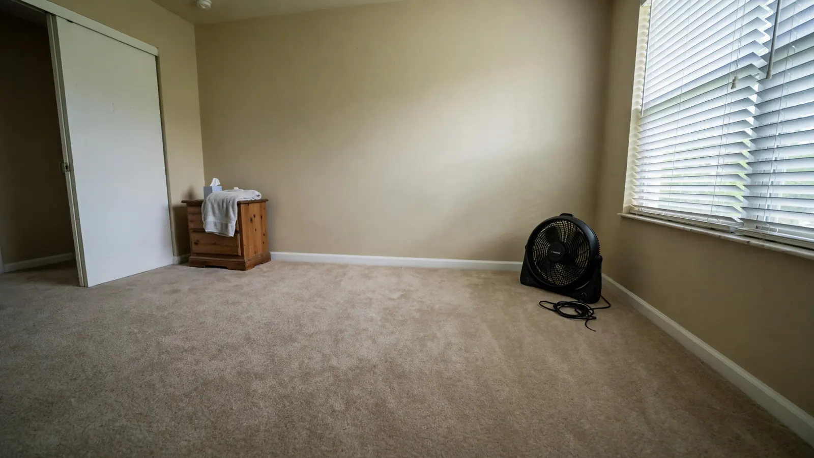 After: The same bedroom with new carpet, paint and baseboards