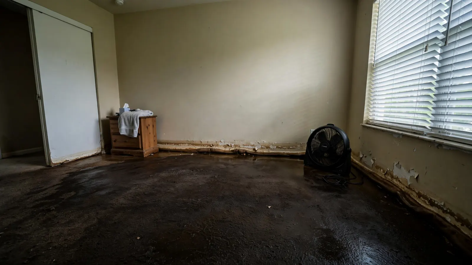Before: Soaked carpet and a water line along bedroom walls